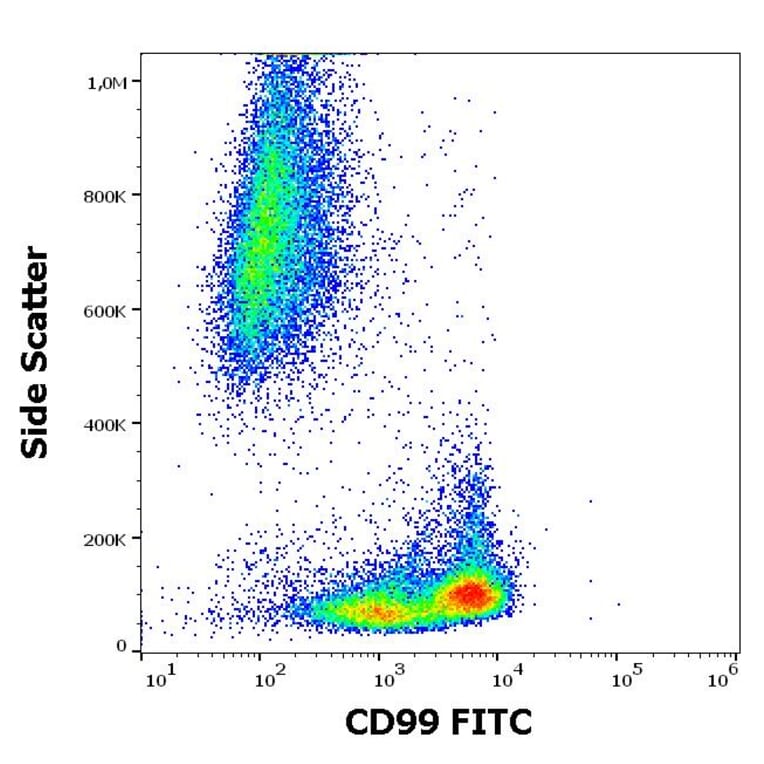 Flow Cytometry - Anti-CD99 Antibody [3B2/TA8] (FITC) (A85605)