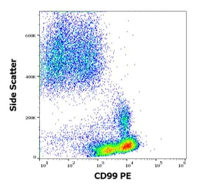 Flow Cytometry - Anti-CD99 Antibody [3B2/TA8] (PE) (A85606)