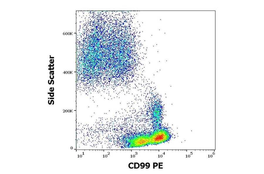 Flow Cytometry - Anti-CD99 Antibody [3B2/TA8] (PE) (A85606)