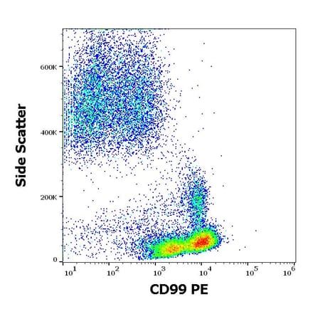 Flow Cytometry - Anti-CD99 Antibody [3B2/TA8] (PE) (A85606)
