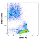 Flow Cytometry - Anti-CD99 Antibody [3B2/TA8] (PE) (A85606)