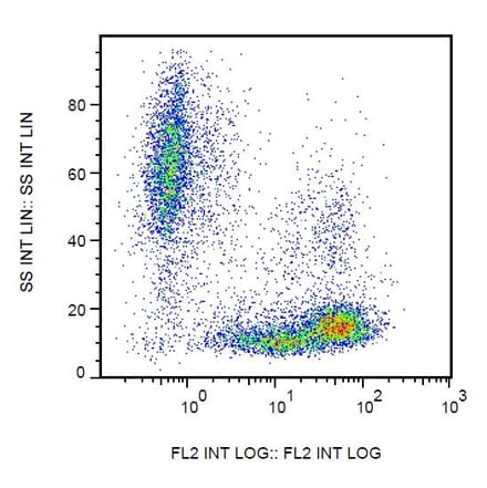 Flow Cytometry - Anti-CD99 Antibody [3B2/TA8] (PE) (A85604) - Antibodies.com