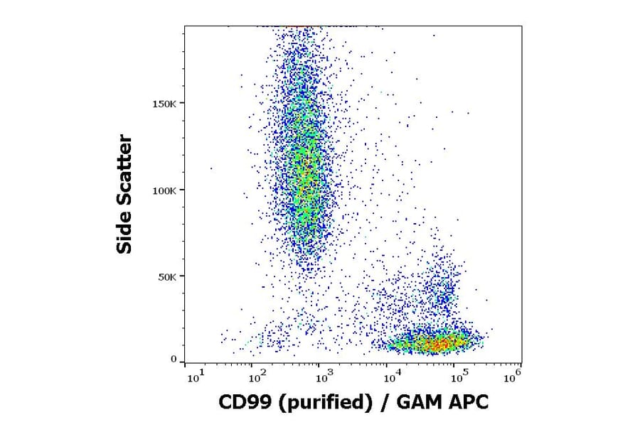 Flow Cytometry - Anti-CD99 Antibody [3B2/TA8] (A85607)