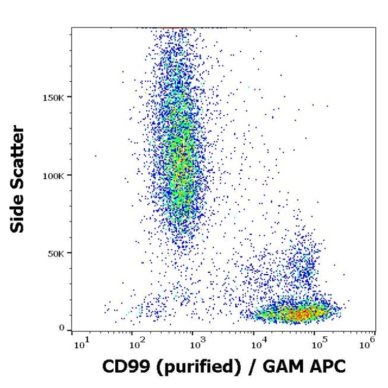 Flow Cytometry - Anti-CD99 Antibody [3B2/TA8] (A85607)