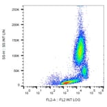 Flow Cytometry - Anti-CD18 Antibody [MEM-148] (PE) (A85608) - Antibodies.com