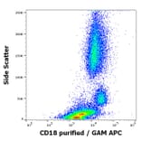 Flow Cytometry - Anti-CD18 Antibody [MEM-148] - Low endotoxin, Azide free (A85611)