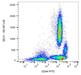Flow Cytometry - Anti-CD44 Antibody [MEM-85] (FITC) (A85614)
