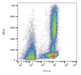 Flow Cytometry - Anti-CD46 Antibody [MEM-258] (FITC) (A85615)