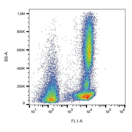 Flow Cytometry - Anti-CD46 Antibody [MEM-258] (FITC) (A85615)