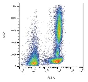 Flow Cytometry - Anti-CD46 Antibody [MEM-258] (FITC) (A85614) - Antibodies.com