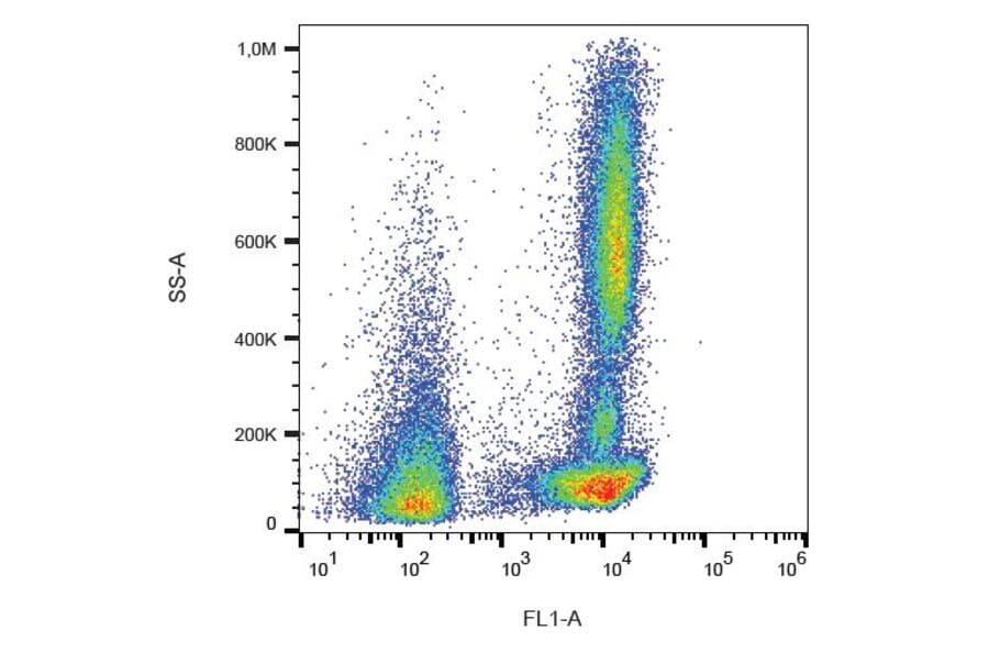 Flow Cytometry - Anti-CD46 Antibody [MEM-258] (FITC) (A85614) - Antibodies.com