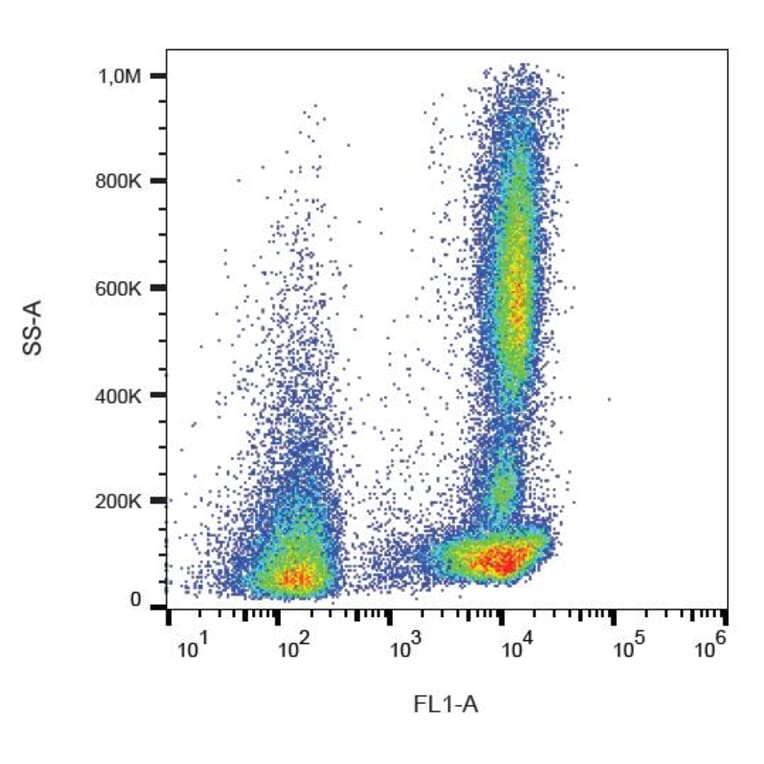 Flow Cytometry - Anti-CD46 Antibody [MEM-258] (FITC) (A85614) - Antibodies.com