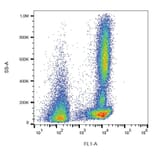 Flow Cytometry - Anti-CD46 Antibody [MEM-258] (FITC) (A85614) - Antibodies.com