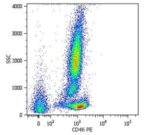 Flow Cytometry - Anti-CD46 Antibody [MEM-258] (PE) (A85616) - Antibodies.com