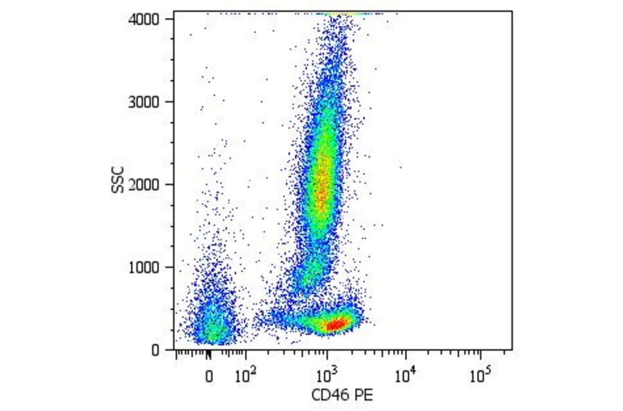 Flow Cytometry - Anti-CD46 Antibody [MEM-258] (PE) (A85616) - Antibodies.com