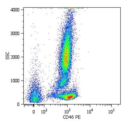 Flow Cytometry - Anti-CD46 Antibody [MEM-258] (PE) (A85616) - Antibodies.com