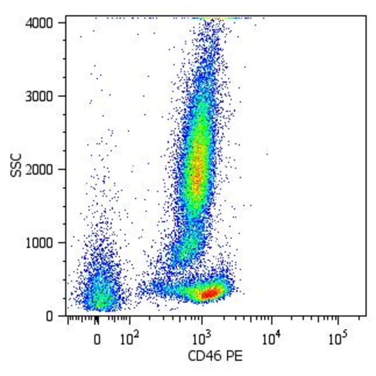 Flow Cytometry - Anti-CD46 Antibody [MEM-258] (PE) (A85616) - Antibodies.com