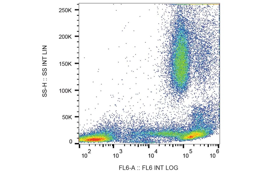 Flow Cytometry - Anti-CD44 Antibody [MEM-85] (A85618)