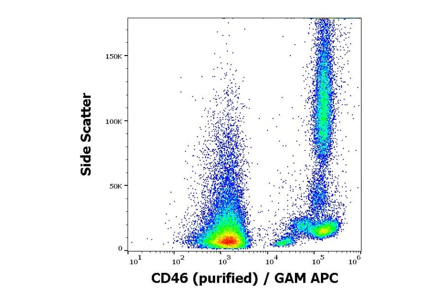 Flow Cytometry - Anti-CD46 Antibody [MEM-258] (A85620)