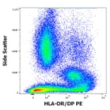 Flow Cytometry - Anti-HLA DR + HLA DP Antibody [MEM-136] (PE) (A85628)