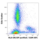 Flow Cytometry - Anti-HLA DR + HLA DP Antibody [MEM-136] (A85630)