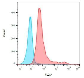 Flow Cytometry - Anti-CD161 Antibody [10/78] (PE) (A85632) - Antibodies.com