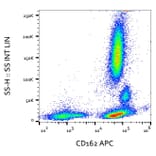 Flow Cytometry - Anti-PSGL-1 Antibody [TC2] (APC) (A85635)