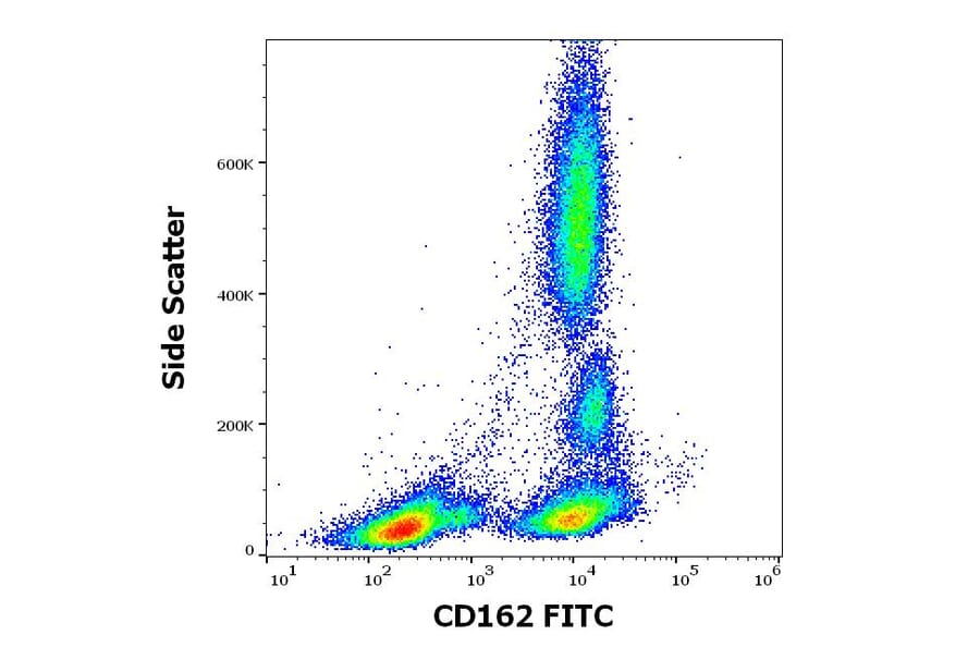 Flow Cytometry - Anti-PSGL-1 Antibody [TC2] (FITC) (A85636)