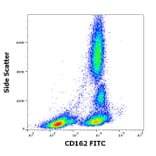 Flow Cytometry - Anti-PSGL-1 Antibody [TC2] (FITC) (A85636)