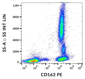 Flow Cytometry - Anti-PSGL-1 Antibody [TC2] (PE) (A85637)