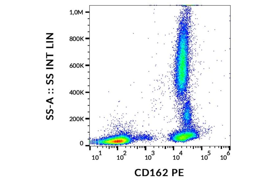Flow Cytometry - Anti-PSGL-1 Antibody [TC2] (PE) (A85637)