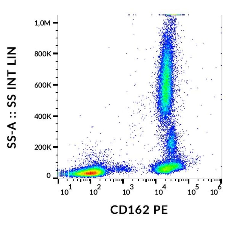 Flow Cytometry - Anti-PSGL-1 Antibody [TC2] (PE) (A85637)