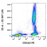 Flow Cytometry - Anti-PSGL-1 Antibody [TC2] (PE) (A85637)