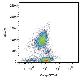 Flow Cytometry - Anti-PSGL-1 Antibody [TC2] (A85640)