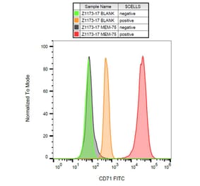 Flow Cytometry - Anti-CD71 Antibody [MEM-75] (FITC) (A85644) - Antibodies.com