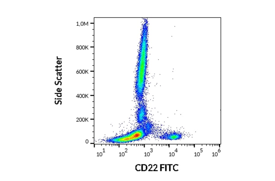 Flow Cytometry - Anti-CD22 Antibody [IS7] (FITC) (A85646)