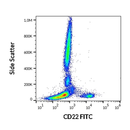 Flow Cytometry - Anti-CD22 Antibody [IS7] (FITC) (A85646)