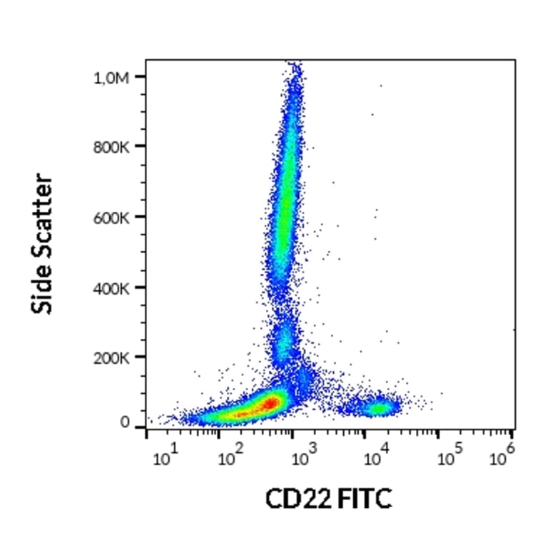 Flow Cytometry - Anti-CD22 Antibody [IS7] (FITC) (A85646)