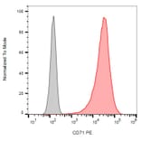 Flow Cytometry - Anti-CD71 Antibody [MEM-75] (PE) (A85645) - Antibodies.com