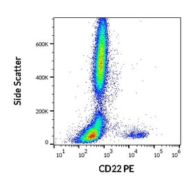 Flow Cytometry - Anti-CD22 Antibody [IS7] (PE) (A85648)