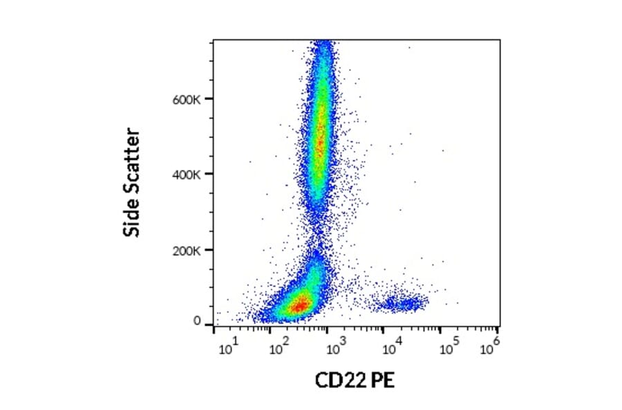 Flow Cytometry - Anti-CD22 Antibody [IS7] (PE) (A85648)