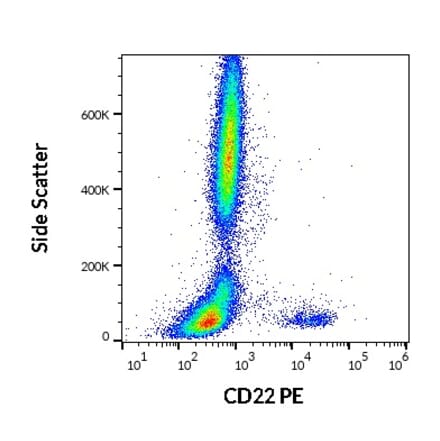 Flow Cytometry - Anti-CD22 Antibody [IS7] (PE) (A85648)