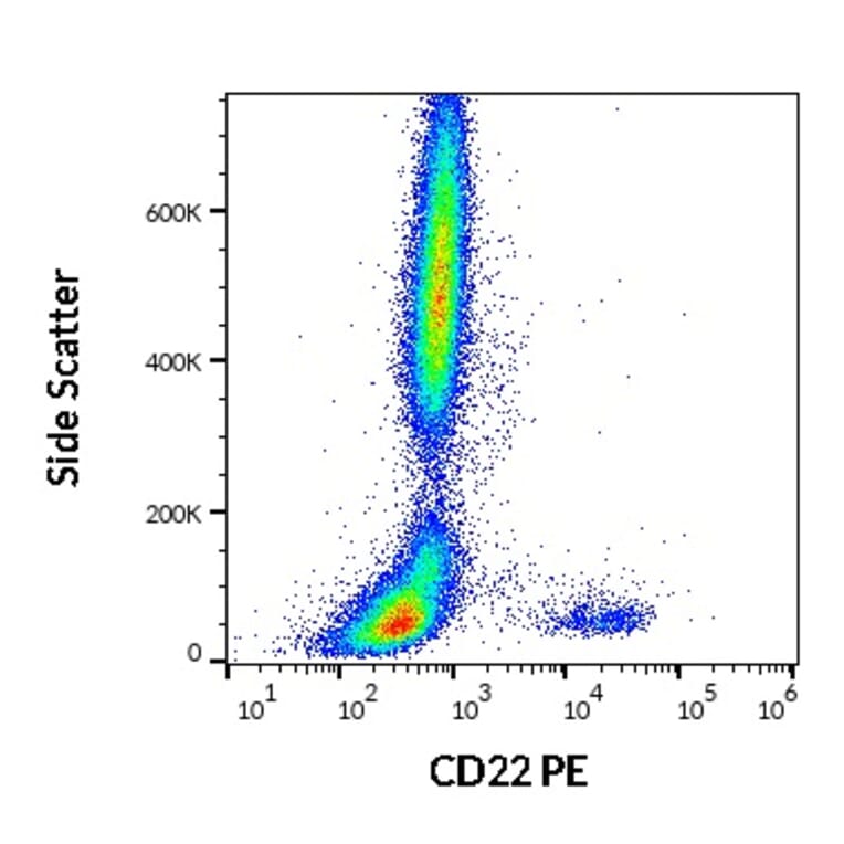 Flow Cytometry - Anti-CD22 Antibody [IS7] (PE) (A85648)