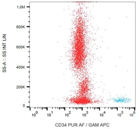 Flow Cytometry - Anti-CD34 Antibody [QBEnd-10] - BSA and Azide free (A85654) - Antibodies.com
