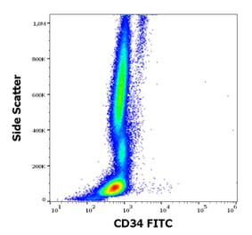 Flow Cytometry - Anti-CD34 Antibody [QBEnd-10] (FITC) (A85662)