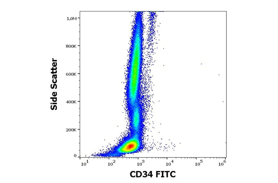 Flow Cytometry - Anti-CD34 Antibody [QBEnd-10] (FITC) (A85662)