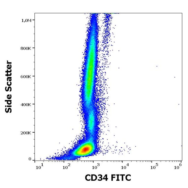 Flow Cytometry - Anti-CD34 Antibody [QBEnd-10] (FITC) (A85662)