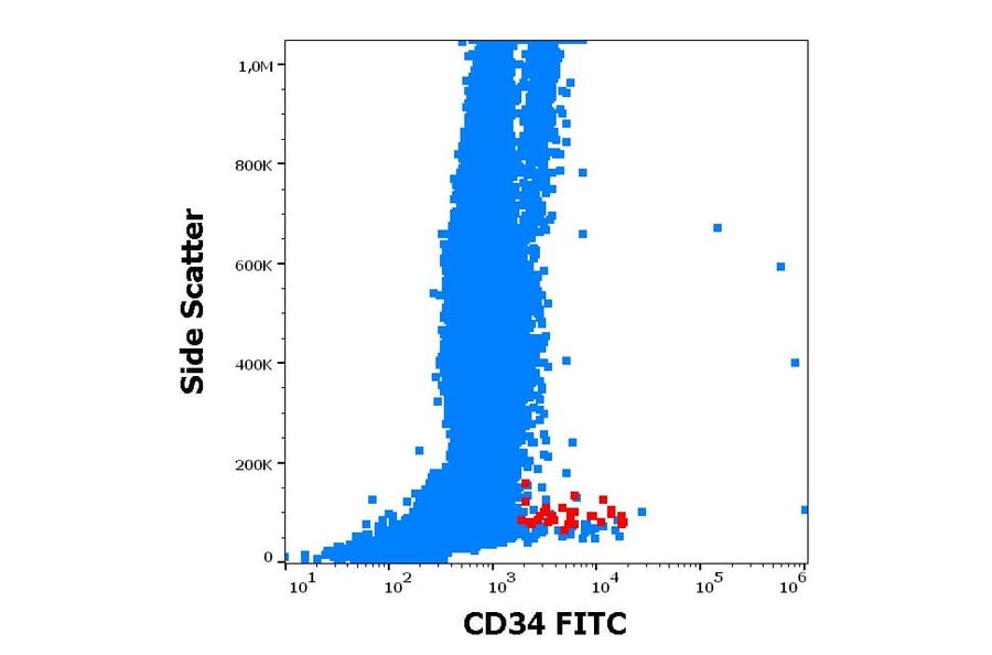 Flow Cytometry - Anti-CD34 Antibody [QBEnd-10] (FITC) (A85662)