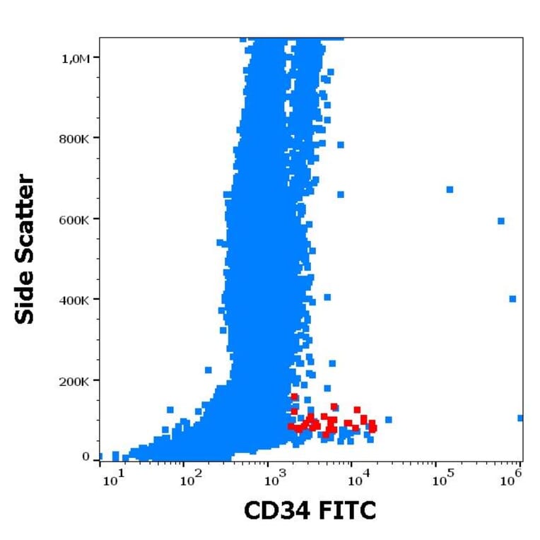 Flow Cytometry - Anti-CD34 Antibody [QBEnd-10] (FITC) (A85662)