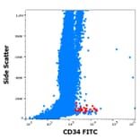 Flow Cytometry - Anti-CD34 Antibody [QBEnd-10] (FITC) (A85662)